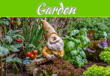 4 Ideas For Lawn And Garden Ornaments For Your Yard Make Over! 4 Ideas For Lawn And Garden Ornaments For Your Yard Make Over!