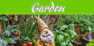 4 Ideas For Lawn And Garden Ornaments For Your Yard Make Over! 4 Ideas For Lawn And Garden Ornaments For Your Yard Make Over!