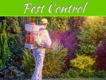 5 Tips For Choosing The Best Pest Control Company 5 Tips For Choosing The Best Pest Control Company