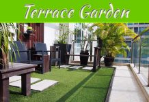 A Terrace Garden: How To Start Terrace Gardening? A Terrace Garden: How To Start Terrace Gardening?
