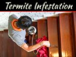 Challenges Of Selling A Home With Termite Infestation And How To Overcome Them Challenges Of Selling A Home With Termite Infestation And How To Overcome Them