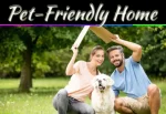 How To Make Your Apartment Welcoming For People And Pets How To Make Your Apartment Welcoming For People And Pets