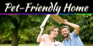 How To Make Your Apartment Welcoming For People And Pets How To Make Your Apartment Welcoming For People And Pets