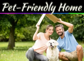 How To Make Your Apartment Welcoming For People And Pets How To Make Your Apartment Welcoming For People And Pets