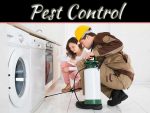 How To Prevent A Pest Problem This Fall How To Prevent A Pest Problem This Fall