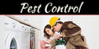 How To Prevent A Pest Problem This Fall How To Prevent A Pest Problem This Fall