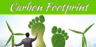 How To Reduce Your Carbon Footprint How To Reduce Your Carbon Footprint