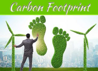 How To Reduce Your Carbon Footprint How To Reduce Your Carbon Footprint