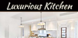 6 Luxurious Kitchen Products To Instantly Upgrade Your Cooking Space 6 Kitchen Products That Make Your Kitchen Look Luxurious!