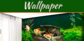 Ten Unique And Affordable Wallpaper Ideas For The Home Ten Unique And Affordable Wallpaper Ideas For The Home