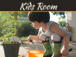 Top Five Plants For Your Kid’s Room Top Five Plants For Your Kid’s Room