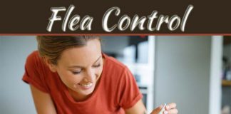 What Are The Benefits Of Hiring Professionals For Flea Control? What Are The Benefits Of Hiring Professionals For Flea Control?