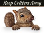 5 Ways To Keep Critters Away From Your Beautiful Home 5 Ways To Keep Critters Away From Your Beautiful Home
