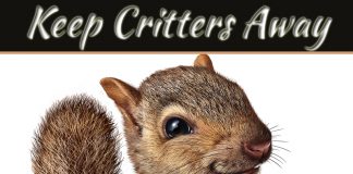 5 Ways To Keep Critters Away From Your Beautiful Home 5 Ways To Keep Critters Away From Your Beautiful Home