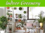 The Charisma Of Indoor Greenery The Charisma Of Indoor Greenery