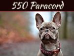 What Are The Most Popular DIY Uses For 550 Paracord? What Are The Most Popular DIY Uses For 550 Paracord?