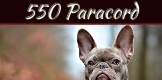 What Are The Most Popular DIY Uses For 550 Paracord? What Are The Most Popular DIY Uses For 550 Paracord?