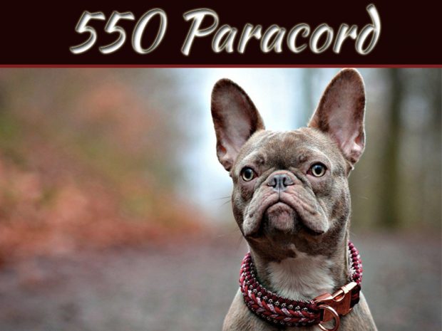 What Are The Most Popular DIY Uses For 550 Paracord?