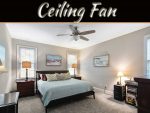 5 Things To Consider When Choosing A Ceiling Fan 5 Things To Consider When Choosing A Ceiling Fan