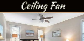5 Things To Consider When Choosing A Ceiling Fan 5 Things To Consider When Choosing A Ceiling Fan