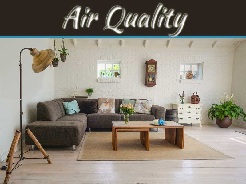 Effective Ways To Improve Indoor Air Quality | My Decorative