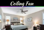 How To Choose The Perfect Ceiling Fan: 5 Essential Factors How To Choose The Perfect Ceiling Fan: 5 Essential Factors