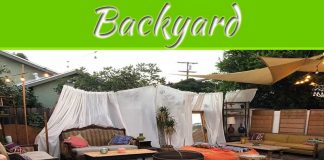 How To Make Your Backyard Look Exceptional How To Make Your Backyard Look Exceptional