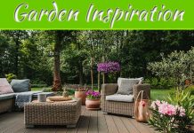 Lanzarote: Garden Inspiration From The Works Of Cesar Manrique Lanzarote: Garden Inspiration From The Works Of Cesar Manrique
