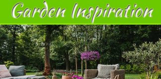 Lanzarote: Garden Inspiration From The Works Of Cesar Manrique Lanzarote: Garden Inspiration From The Works Of Cesar Manrique