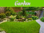 Simple Ways To Transform A Garden Simple Ways to Transform a Garden