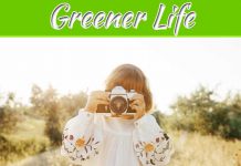 Top 4 Ways To Live A Greener Life Top 4 Ways To Live A Greener Life