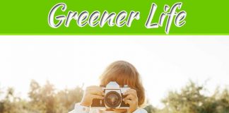 Top 4 Ways To Live A Greener Life Top 4 Ways To Live A Greener Life