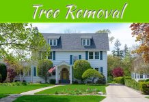 Tree Removal And Beyond: 6 Improvements To Boost Curb Appeal Tree Removal And Beyond: 6 Improvements To Boost Curb Appeal