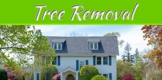 Tree Removal And Beyond: 6 Improvements To Boost Curb Appeal Tree Removal And Beyond: 6 Improvements To Boost Curb Appeal