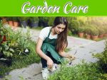 Ways To Spend Time In The Garden This Winter Ways To Spend Time In The Garden This Winter