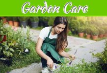 Ways To Spend Time In The Garden This Winter Ways To Spend Time In The Garden This Winter