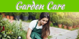 Ways To Spend Time In The Garden This Winter Ways To Spend Time In The Garden This Winter
