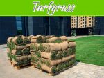 What Are The Advantages And Disadvantages Of Turfgrass? What Are The Advantages And Disadvantages Of Turfgrass?