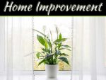 Why Is Indoor Air Quality Important To Stay Healthy And How To Improve It Why Is Indoor Air Quality Important To Stay Healthy And How To Improve It