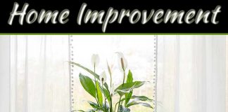 Why Is Indoor Air Quality Important To Stay Healthy And How To Improve It Why Is Indoor Air Quality Important To Stay Healthy And How To Improve It