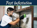 Factors That Make Your Penang Property Prone To Pest Infestation Factors That Make Your Penang Property Prone To Pest Infestation