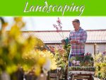 Gardening And Landscaping 101: How To Choose The Right Plants Gardening And Landscaping 101: How To Choose The Right Plants