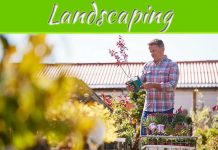 Gardening And Landscaping 101: How To Choose The Right Plants Gardening And Landscaping 101: How To Choose The Right Plants