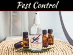 How To Do Your Own Pest Control How To Do Your Own Pest Control