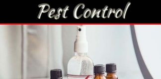 How To Do Your Own Pest Control How To Do Your Own Pest Control