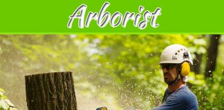 Why Is It Important To Have A Certified Arborist? Why Is It Important To Have A Certified Arborist?