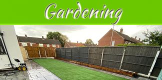 7 Common Gardening Questions Answered 7 Common Gardening Questions Answered