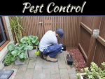 Frequently Used Pest Control Treatments Frequently Used Pest Control Treatments