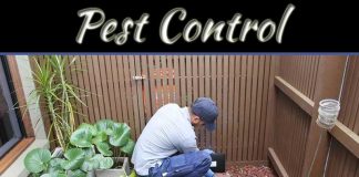 Frequently Used Pest Control Treatments Frequently Used Pest Control Treatments