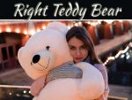 How To Choose The Right Teddy Bear For You? How To Choose The Right Teddy Bear For You?